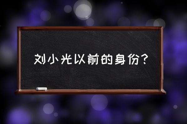 沈阳刘老根大舞台刘小光 刘小光以前的身份？