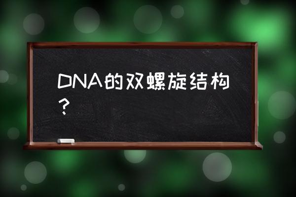 双螺旋结构的要点 DNA的双螺旋结构？