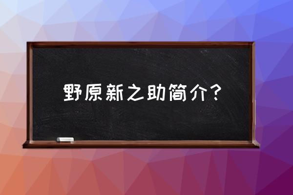 野原新之助人物简介 野原新之助简介？