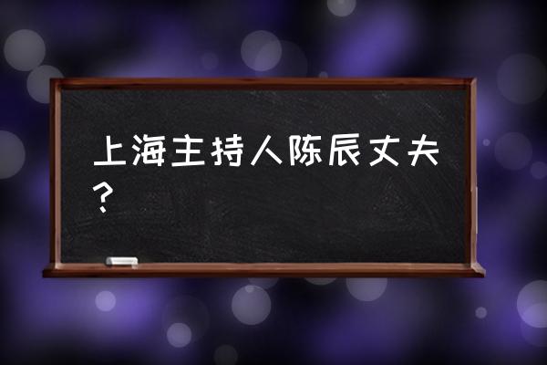 主持人陈辰现任老公 上海主持人陈辰丈夫？