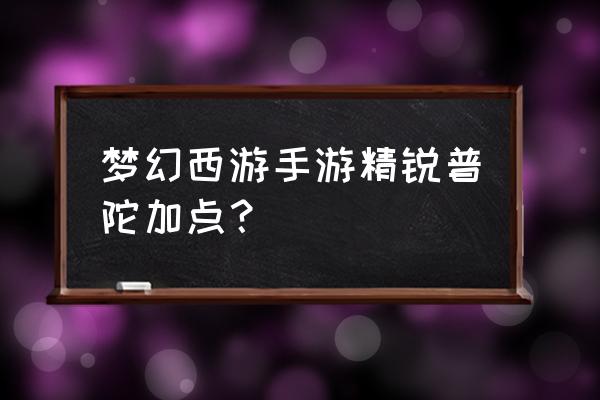 梦幻西游手游普陀加点2020 梦幻西游手游精锐普陀加点？