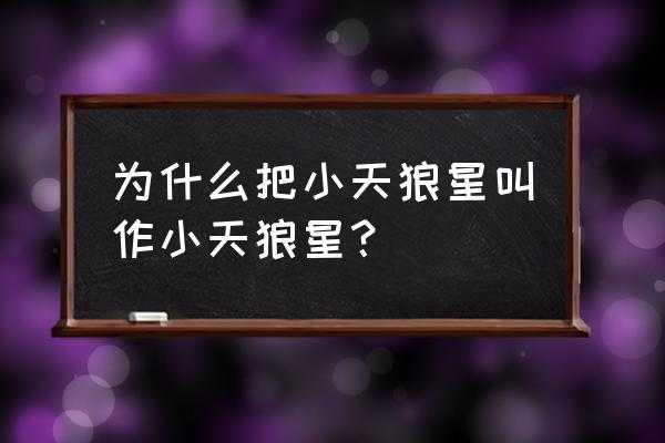 小天狼星为什么叫小天狼星 为什么把小天狼星叫作小天狼星？