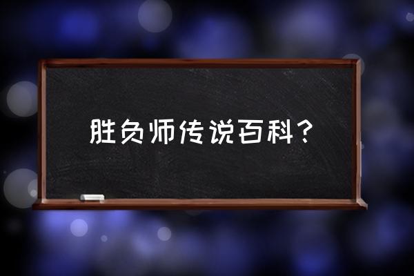 胜负师传说哲也12 胜负师传说百科？