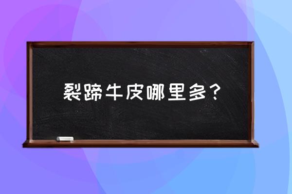 厚裂蹄牛皮如何获得 裂蹄牛皮哪里多？