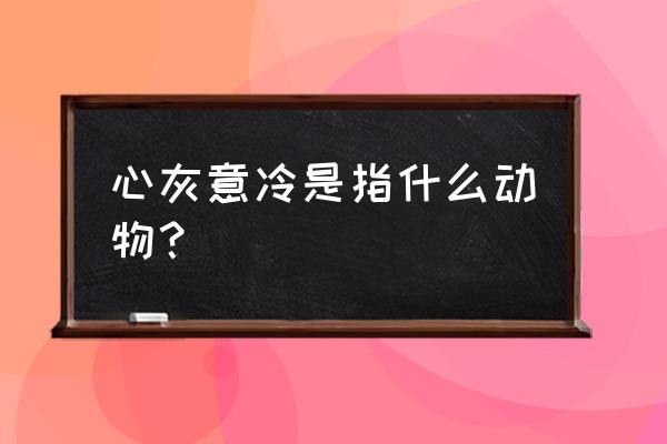 心灰意冷指什么生肖 心灰意冷是指什么动物？