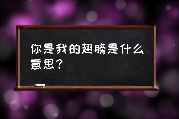 她们都是我的翅膀 你是我的翅膀是什么意思？