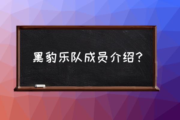 黑豹乐队成员介绍 黑豹乐队成员介绍？