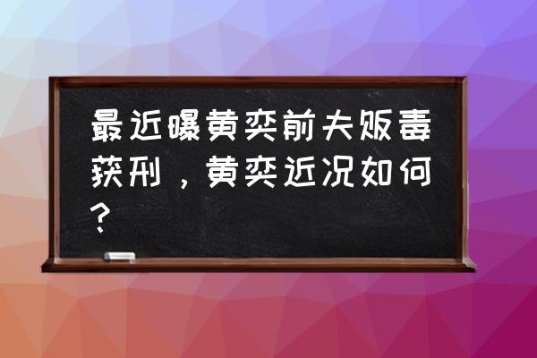 黄奕前夫和黄奕的恩怨 最近曝黄奕前夫贩毒获刑，黄奕近况如何？