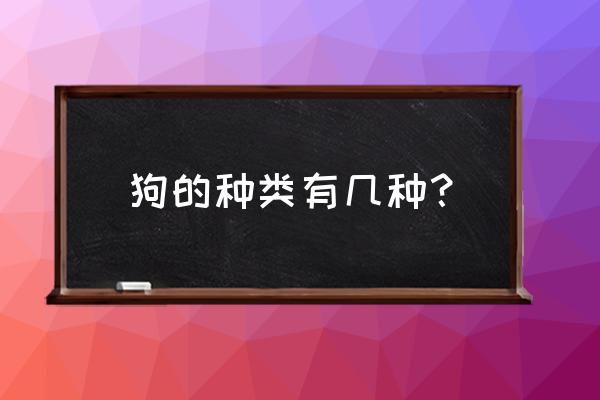 狗都有什么种类 狗的种类有几种？