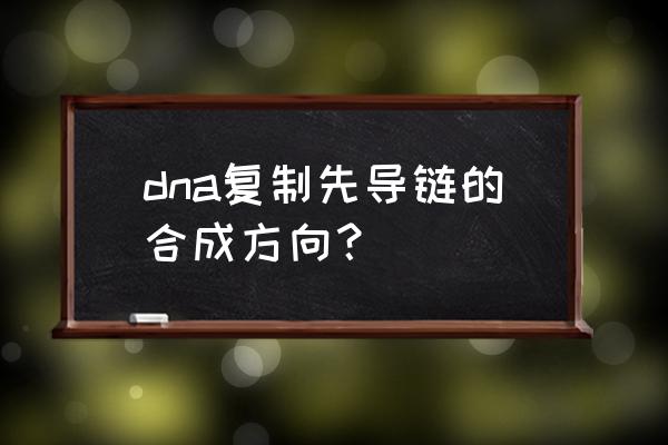 dna子链复制方向 dna复制先导链的合成方向？