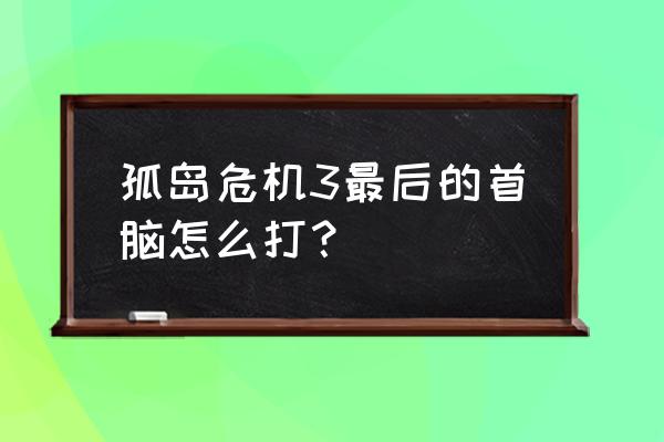 孤岛危机3攻略 孤岛危机3最后的首脑怎么打？