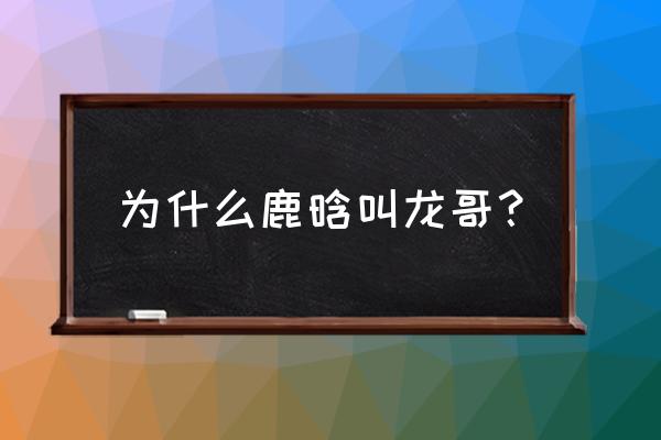 鹿喑为什么叫龙哥 为什么鹿晗叫龙哥？