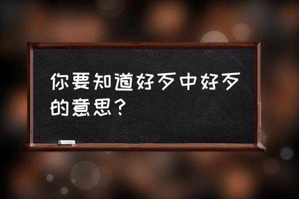 若知道好歹的好歹是 你要知道好歹中好歹的意思？