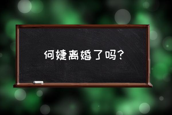 主持人何婕的第二个老公 何婕离婚了吗？