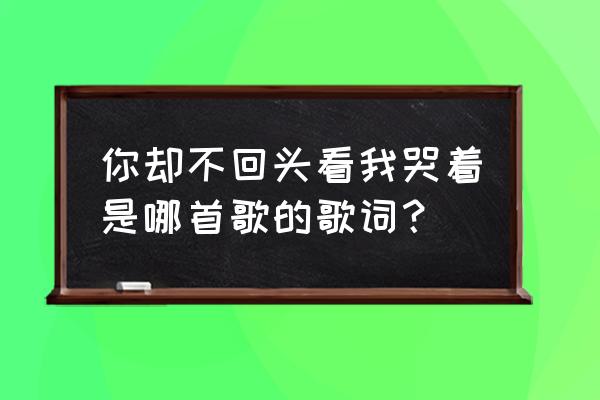 看我心碎你头也不回 你却不回头看我哭着是哪首歌的歌词？