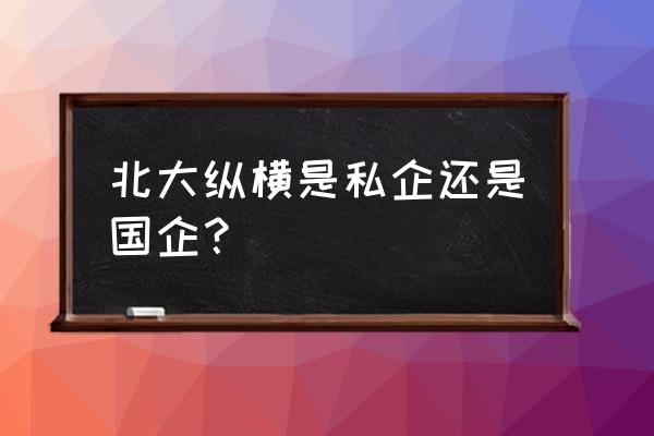 北大纵横是干什么的 北大纵横是私企还是国企？