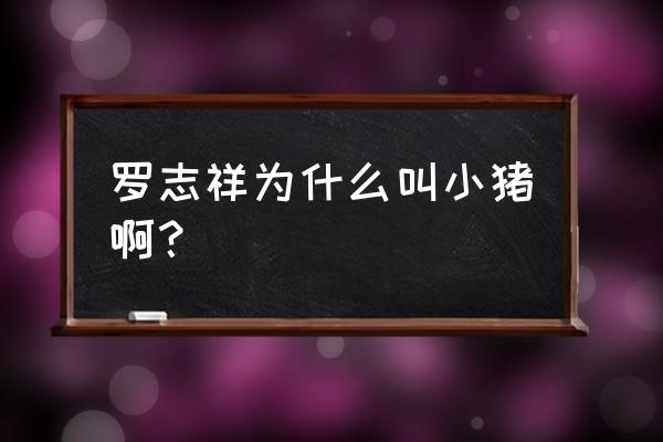 罗志祥为啥叫小猪 罗志祥为什么叫小猪啊？