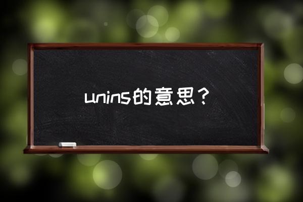 unins是什么意思 unins的意思？