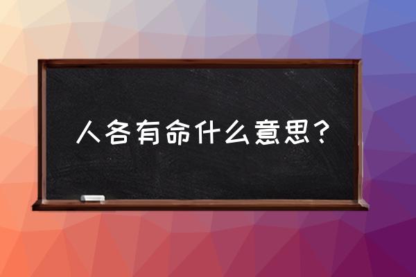 人各有命啥意思 人各有命什么意思？