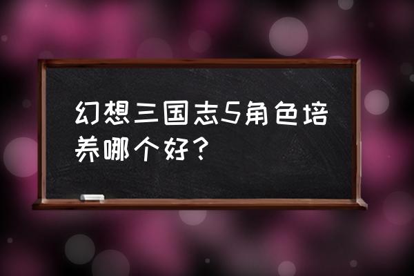 幻想三国志5完美攻略 幻想三国志5角色培养哪个好？