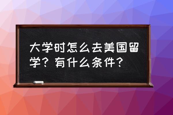 美国留学需要具备哪些条件 大学时怎么去美国留学？有什么条件？