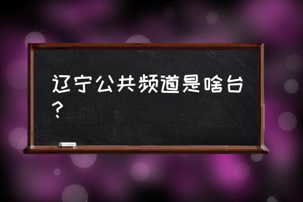 辽宁公共频道 辽宁公共频道是啥台？