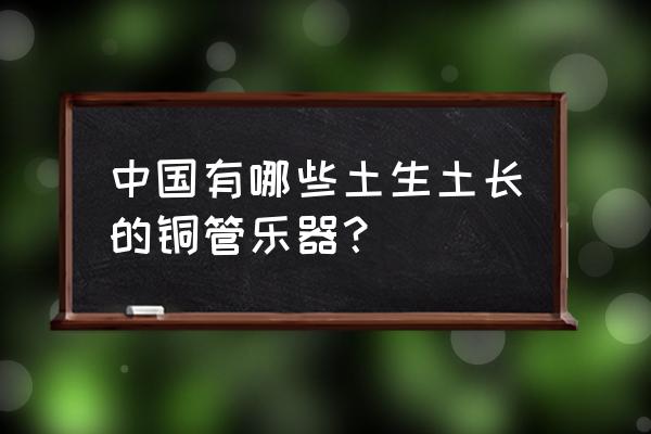 铜管类乐器 中国有哪些土生土长的铜管乐器？