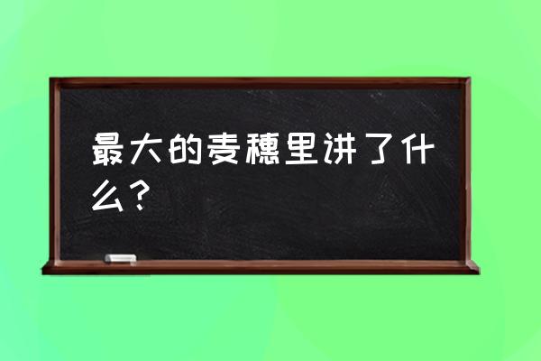 最大的麦穗主要内容 最大的麦穗里讲了什么？