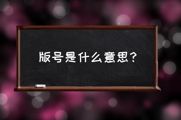 版号是什么意思 版号是什么意思？