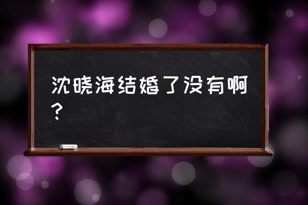 深度秘密沈晓海 沈晓海结婚了没有啊？