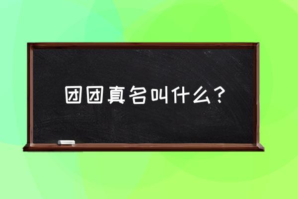 一条小团团的真名 团团真名叫什么？