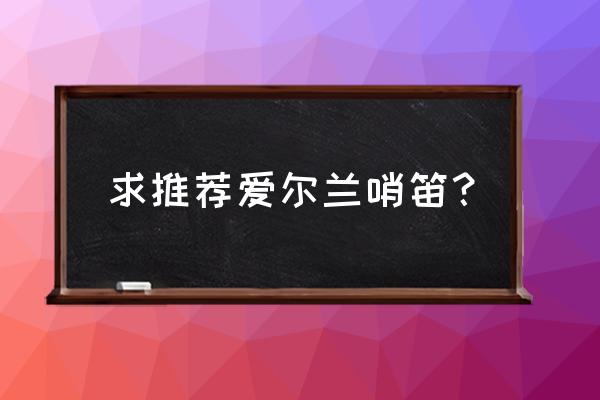 爱尔兰哨笛买什么牌 求推荐爱尔兰哨笛？