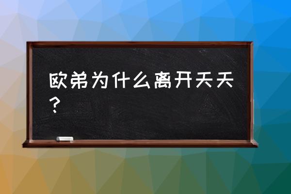 欧弟为啥离开天天 欧弟为什么离开天天？