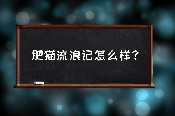 肥猫流浪记讲什么 肥猫流浪记怎么样？