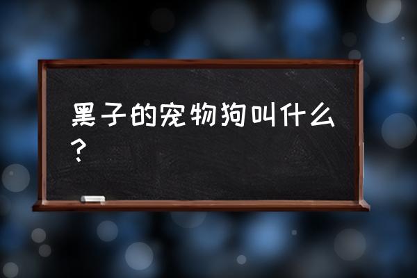 哲也二号是什么狗 黑子的宠物狗叫什么？