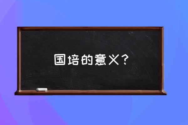 国培个人心得 国培的意义？