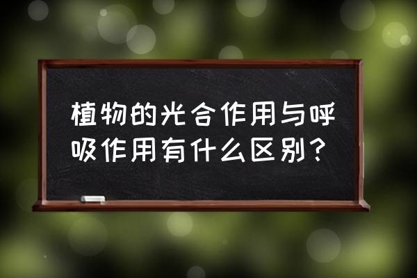 光合作用和呼吸作用比较 植物的光合作用与呼吸作用有什么区别？