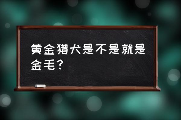 黄金猎犬是不是金毛 黄金猎犬是不是就是金毛？