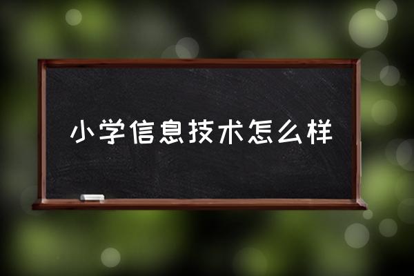 小学信息技术期末总结 小学信息技术怎么样