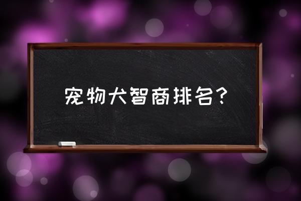 小型宠物狗智商排名 宠物犬智商排名？