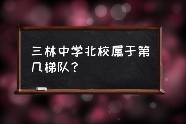 上海市三林中学排名 三林中学北校属于第几梯队？