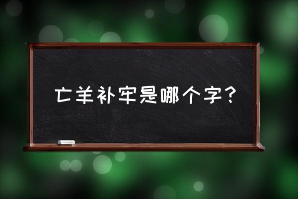 亡羊补牢每个字的意思 亡羊补牢是哪个字？