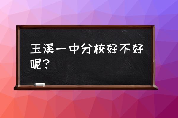 玉溪一中分校怎么样 玉溪一中分校好不好呢？