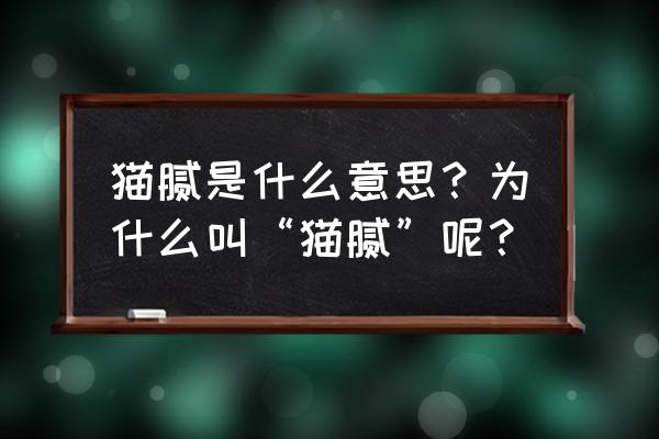 猫腻为什么叫猫腻 猫腻是什么意思？为什么叫“猫腻”呢？