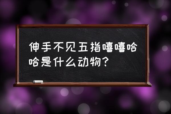 伸手不见五指打一动物 伸手不见五指嘻嘻哈哈是什么动物？