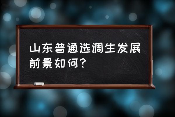 山东普通选调生 山东普通选调生发展前景如何？