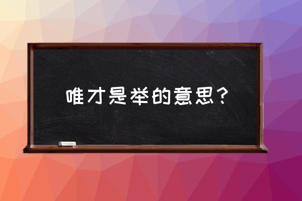 为才是举的意思 唯才是举的意思？