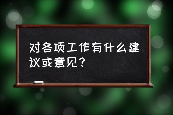 对其他方面的意见和建议 对各项工作有什么建议或意见？