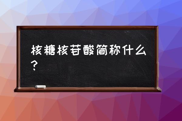 核糖核苷酸简称 核糖核苷酸简称什么？