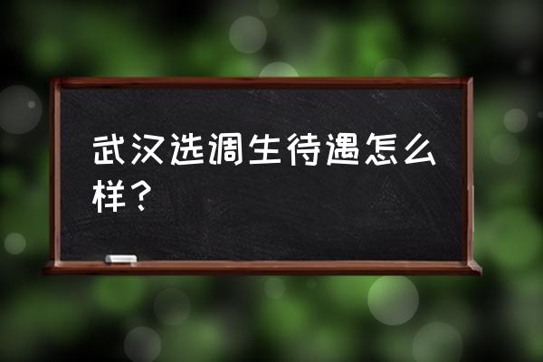 湖北选调生待遇 武汉选调生待遇怎么样？